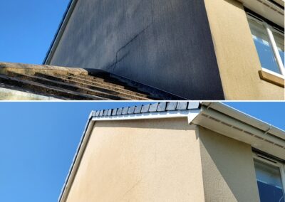 Render cleaning professionals